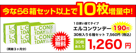 エルコンワンデー6箱セットプラス10枚増量