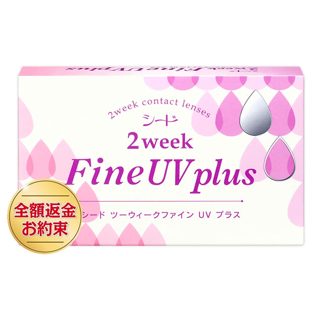 【送料無料】【YM】2weekファインUV8箱