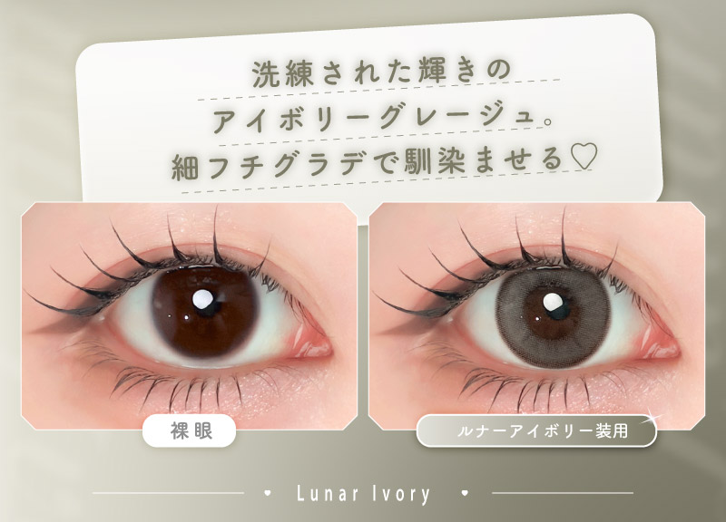 ワンデーリフレア エーアイ