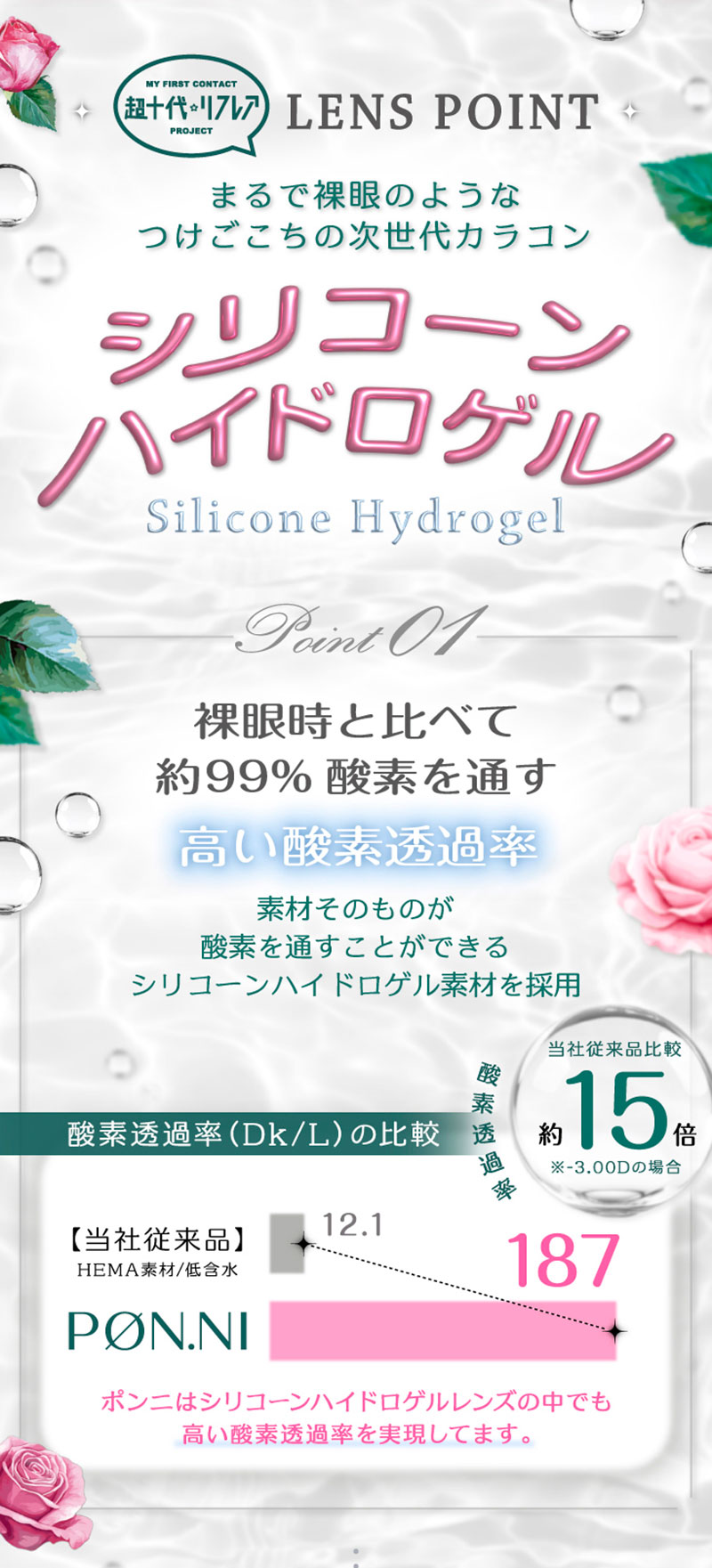 ワンデーリフレア ポンニ