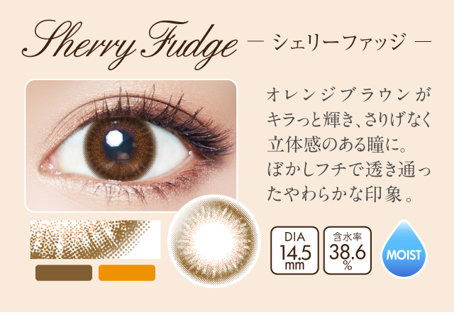 シェリーファッジ